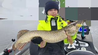 premiär fiske på Mälaren med min kompisgranne catch and release [upl. by Goldshlag]