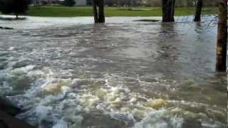 Flooding  Trysting Tree Golf Course  Corvallis Oregon [upl. by Rialcnis624]