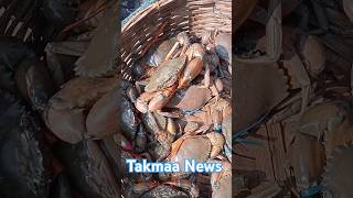 Rs 700 per KG Tasty Giant Crabs [upl. by Chiarra]