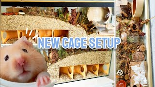 Upgrading HAMSTERs Natural Cage Setup  German Inspired Enclosure  Christmas Haul 🐹🌿 [upl. by Assehc284]