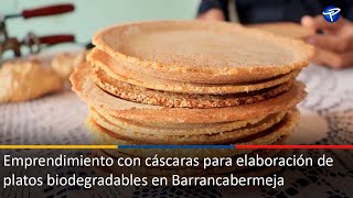 Emprendimiento con cáscaras para elaboración de platos biodegradables en Barrancabermeja [upl. by Lachish766]