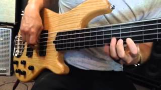 Lakland 5501 Fretless Bass [upl. by Corney396]