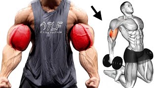 How To Build Wider Biceps Fastest Workout [upl. by Leirza]