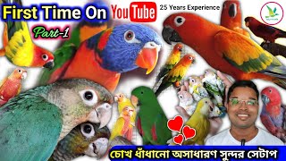 Vosmaeri EclectusBlue ThroatedRed Moluccan LorikeetMonk ParakeetSun Cheek Red Sun Conure Setup [upl. by Glass931]