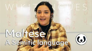 The Maltese language casually spoken  Elena speaking Maltese  Wikitongues [upl. by Crissy]