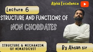 Structure amp Mechanism of working of Nematocyst  BSc Zoology major Minor [upl. by Shayne]