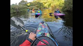 River Tees Cotherstone to Barnard Castle 49 5 Oct 24 [upl. by Kailey]