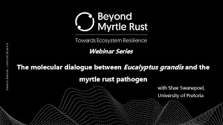 The molecular dialogue between Eucalyptus grandis and the myrtle rust pathogen [upl. by Ydeh]