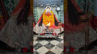 Maa dunja ke darshan aaj 4112024 ka youtubeshorts youtube youtubevideos matarani shorts [upl. by Kevin]