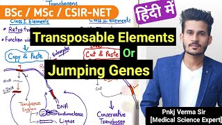 Transposable Elements  Jumping Genes  Part 1  Pnkj Verma Sir [upl. by Joselow]