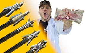 2 Inch Mechanical Broadhead Battle  Rage Beast SEVR G5 B3 [upl. by Suolkcin191]