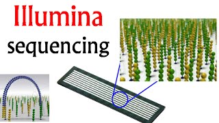 Illumina sequencing  DNA sequencing by synthesis [upl. by Tower436]