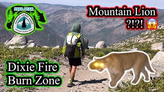 PCT Pacific Crest Trail 2024 Thru Hike  EP 33  Stalked By A Cougar pacificcresttrail [upl. by Bein]