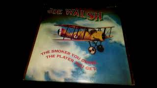 Joe Walsh Vinyl The Smoker You Drink The Player You Get full album [upl. by Acireed]