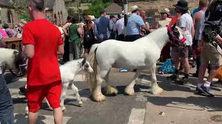 Appleby Horse Fair Saturday 2023 3rd Day [upl. by Artima]