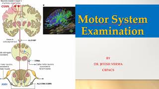 Motor System Examination I UMN amp LMN lesion difference I Assessment of bulk tone amp power of muscles [upl. by Ahse]