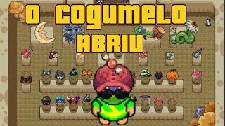 A LOJA DO COGUMELO 🍄 ABRIU GraalOnline Classic [upl. by Truc]