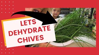 How To Dehydrate Chives [upl. by Oicnerual]