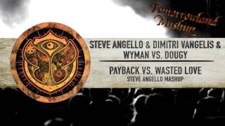 Steve Angello amp Dimitri Vangelis amp Wyman vs Dougy  Payback vs Wasted Love  TML Mashup [upl. by Freiman]