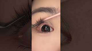 Eyelashes Makeup Tutorial eyelashes makeup shorts [upl. by Galateah719]