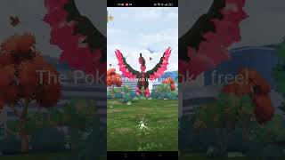 Catching GALARIAN Bird using 101IQ  100 WORKING TRICK [upl. by Torrance]