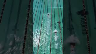 Olympic Swimmer races an average person swimmer [upl. by Atnoid]