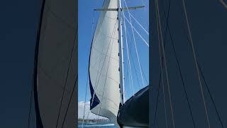 Hallberg Rassy 352 Sailing San Diego Bay [upl. by Rhea333]