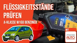 Die Flüssigkeitsstände prüfen A140 W168 📏 [upl. by Odlanier929]