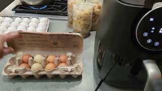 Hard boiled eggs in the air fryer [upl. by Cardew827]