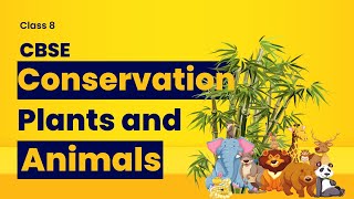 CONSERVATION OF PLANTS AND ANIMALS  Class 8  CBSE  DAV [upl. by Anyahc]