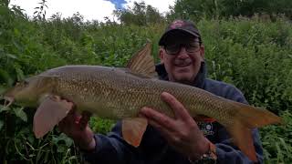 barbel fishing at cundel lodge [upl. by Alleunam368]