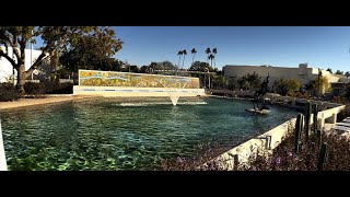 Equipment Testing  Sandmarc Anamorphic Lens with iPhone 16 Pro Max [upl. by Trilbie]