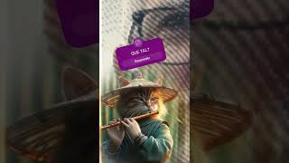 O GATINHO TOCANDO FLAUTA guitar rockbr music rockbrazil musica rocknaotemidade guitarcover [upl. by Gilberto]