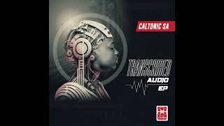 Caltonic SA amp Djy Vino  Transcribed  AMA Hits 🔥🔥🔥 [upl. by Camfort498]