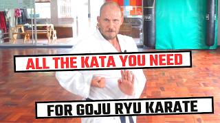 All the Goju Ryu Kata Slow amp Performance followalong [upl. by Enimrac]