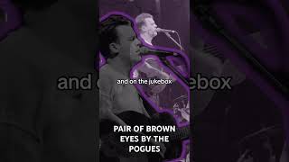 Pair of brown eyes pogues niallmcnamee shanemacgowan songwriter livemusic irishmusic irish [upl. by Hepsoj472]