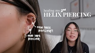 helix piercing aftercare  how i healed my helix piercing [upl. by Bellda]