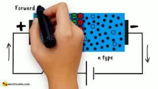 Working Principle of Diode [upl. by Leunad]