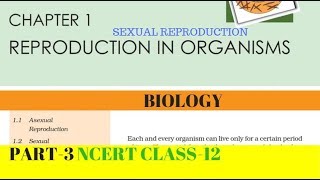 Part3 REPRODUCTION IN ORGANISMS chapter1 NCERT class 12th biology [upl. by Sirromad833]