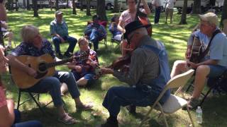 Shadetree pickin at the Summertown Bluegrass Reunion [upl. by Tamsky]