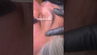 Soft Wax ASMR wax brows eyebrows softwax starpil [upl. by Tricia]