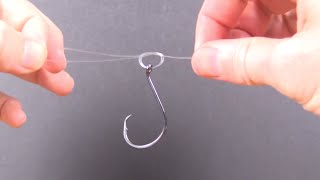 Palomar Knot  Quick Tutorial on How to Tie This Strong Knot [upl. by Ysied259]