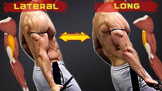 Use This Triceps Long amp Lateral Head Alternating Combo Exercise for Balanced Tricep Growth [upl. by Ahto525]