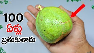 Beal fruit benefits i telugu  Bael Fruit Benefits [upl. by Abroms]