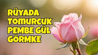 Rüyada Tomurcuk Pembe Gül Görmek   Ne Anlama Geliyor Leyla Bayram Rüya ve İstihare Yorumcusu [upl. by Gross]