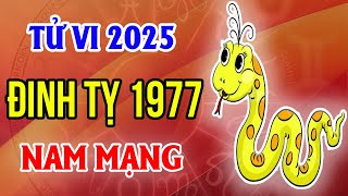 Xem Tử Vi Nam Mạng Tuổi Đinh Tỵ 1977 Năm 2025 Ất Tỵ [upl. by Arac]