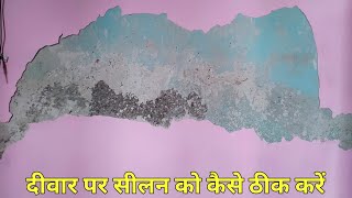 How To Repair Damp Wall With Waterproof putty  Damp Wall Solution  Treatment  Wall Seelan 2022 [upl. by Adnima]