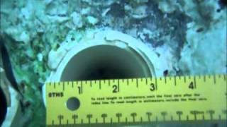 pool works dangerous drain video [upl. by Soren698]