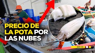 Produce ¿Por qué se ha elevado el precio de la pota ECONOMIAXTODOS  ENTREVISTA [upl. by Aniara572]