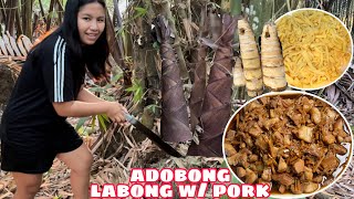 PANGUNGUHA NG LABONG BAMBOO SHOOT  ADOBONG LABONG WITH PORK [upl. by Aneekat]